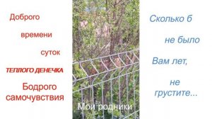 Доброго утра, прекрасного дня!