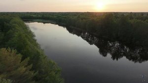 Ты неси меня река