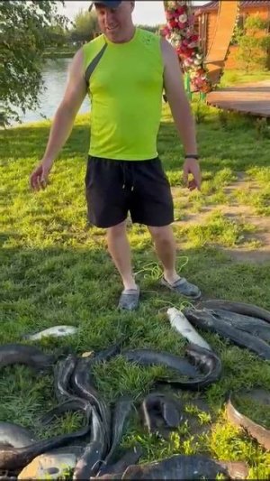 04-07-2025