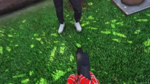 FlazinРЕБЁНОК СТАЛ ЧЕЛОВЕКОМ ПАУКОМ В ГТА 5 ! ФЛЕЙЗИН СТАЛ РЕБЕНКОМ НА 24 ЧАСА В GTA 5
