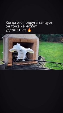 не может удержатся