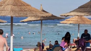 Египет 23 05-01 06 2025 г