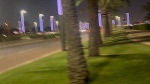 В Катаре парки очень классно обустроены. Пока снимала , чуть машина не сбила).