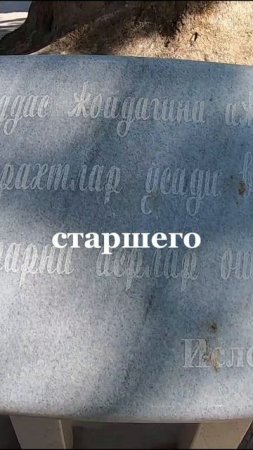 Владение Власти Амира Темура