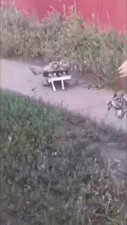 Видео из Шахт, где после атаки дронов отключило свет в двух тысячах домов.