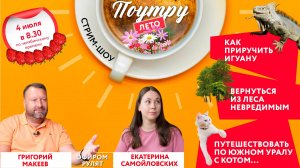 Как приручить игуану, вернуться из леса невредимым, путешествовать по лесу с котом //Поутру