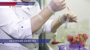 В Роспотребнадзоре Нижегородской области рассказали, как правильно выбрать фрукты и овощи