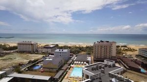 Море, дельфины и огород.