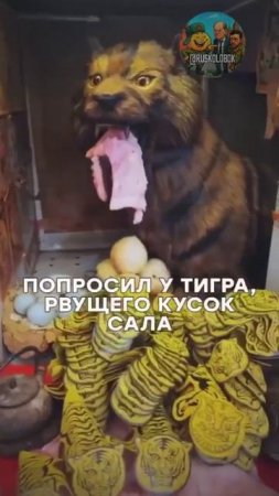 Русский блогер заказал в Гонконге проклятье... на Зелю