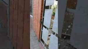 Зоопарк Ростов