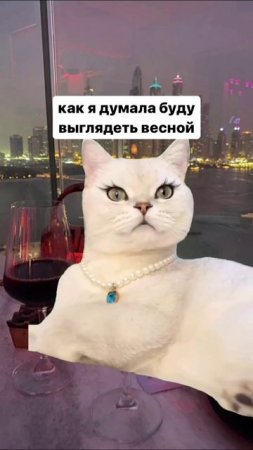 К сезону готовы? #shorts