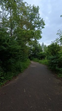 Прогулка. I'll find a way out soon