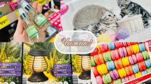 💖🧁 В ЧИЖИКЕ НОВИНКИ! ЭТО НАДО ВИДЕТЬ И КУПИТЬ😍🤩 #чижик #счастьеесть