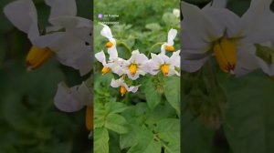 У природы нет плохой погоды