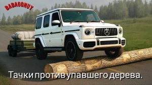 Тачки против упавшего дерева / Badagonuy
