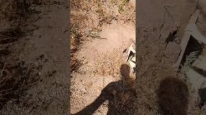 Поездка в Родные Края🥰👨👩👧🌞ДЕНЬ 13, ЧАСТЬ 1🏞Таисия, мама и папа в эфире ❤️ ИЮНЬ25