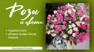 Роза и цветы: подвязала розы, уборка придомовой территории. Высоцкая Ксения.