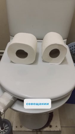 Кто совещается с котом?