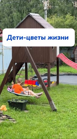 Экологично и безвредно это про него! Артикул на WB #93550775 
Ozon #655295171