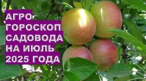 Лучшие дни для черенкования и укоренения в июле 2025