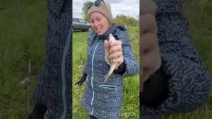 Рыбалка на Рузском водохранилище, 13 мая. В день рождения мужа ))) есть улов! #рыбалка