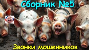 Сборник №5
