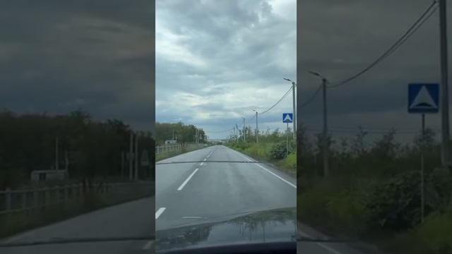 Дорога в лесу в Ростовской области