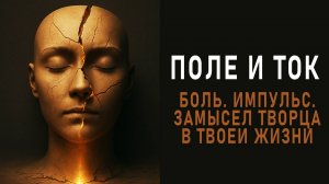 ПОЛЕ И ТОК. Боль. Импульс. Замысел творца в твоей жизни. Аудиокнига. Евгений Миненко