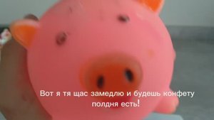 СВИЛИ ВЕРНУЛСЯ С МОРЯ! СБОРНИК ШОРТСОВ ОТ СВИЛИ!