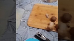 Сушим БЕЛЫЕ Грибы в сушилке Волга 9.