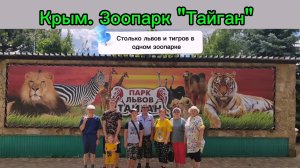 Сколько львов и тигров в одном зоопарке. Знаменитый "Тайган" в Крыму. Авария, ударило девочку.
