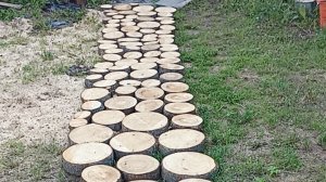 Самая простая ,дешевая ,красивая ,стильная дорожка на даче .Своими руками