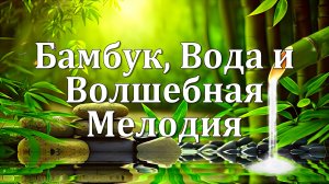 Абсолютное Спокойствие | Бамбук, Вода и Волшебная Мелодия 💧🎍💧