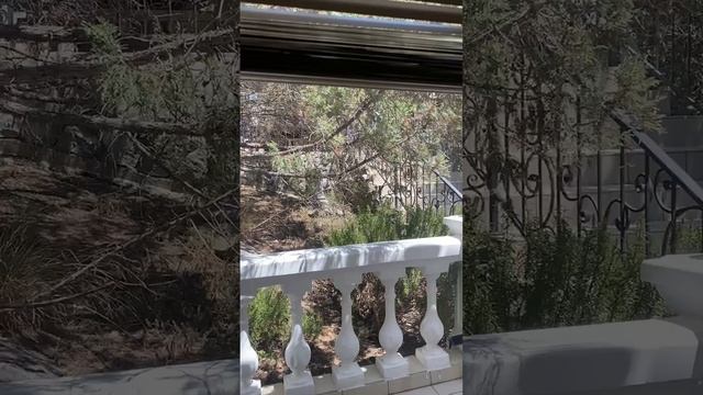 Лучший дом в Крыму в аренду