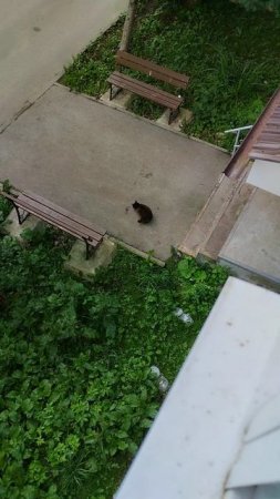 PXL_20250704_062229109