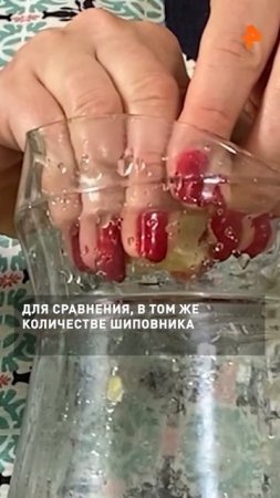 Что лучше съесть, чтобы получить витамин С. Рассказываю в сюжете «Как устроен мир».

#Какустроенмир