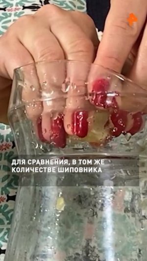 Что лучше съесть, чтобы получить витамин С. Рассказываю в сюжете «Как устроен мир».

#Какустроенмир