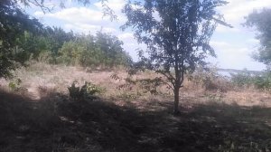 VID_20250704_154226.mp4
