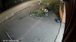 Цветочная воровка
