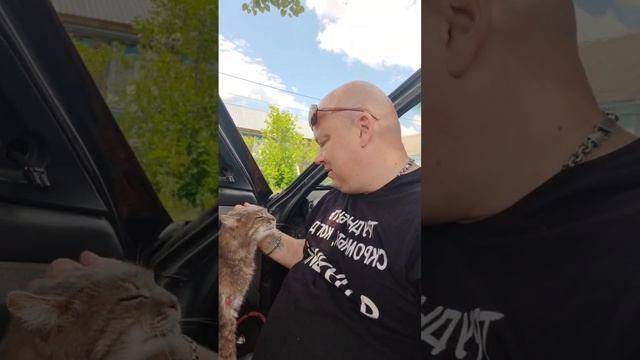 Доброго вечера друзья 🥰  Мы сегодня ездили в город погулять