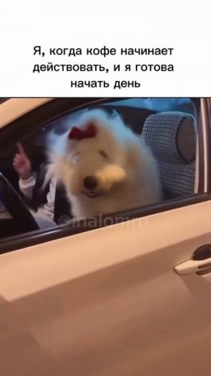 Кофеек