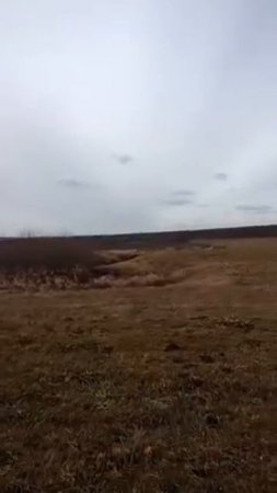 Охота на утку