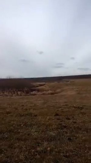 Охота на утку