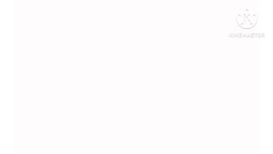 Distorted Chicken Тест