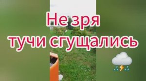 Не зря тучи сгущались