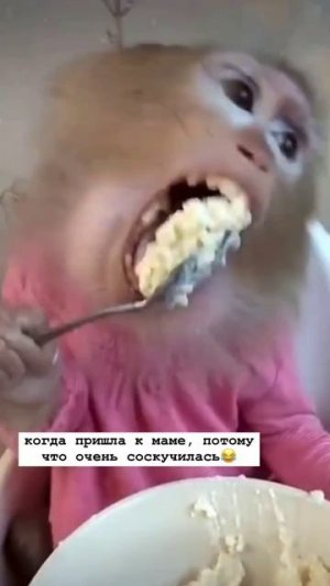 очень соскучилась