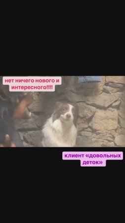 Заглядывай в Довольные Детки! У них есть все для развития малыша💞
