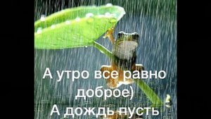 Когда дожди  уйдут в июле с юмором. 112