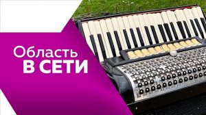 Область в сети №311
