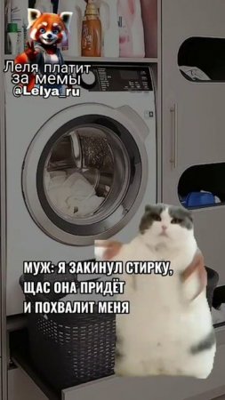 Мемчик от Лели